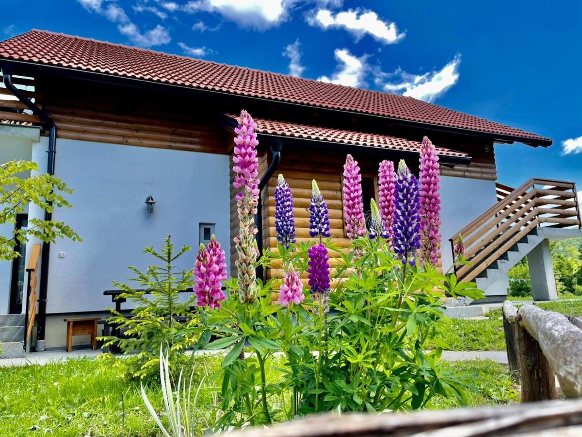 Studio Apartmani Patricia Smoljanac Exteriér fotografie